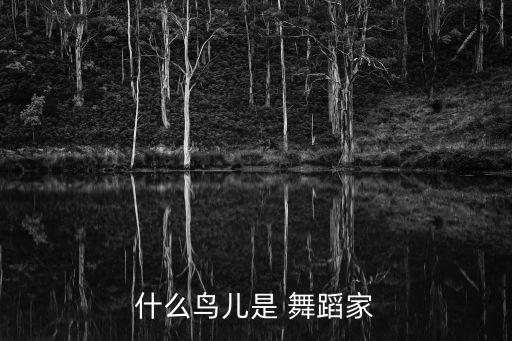 儿童小鸟舞蹈视频,小鸟树歌声不断树上的鸟儿越来越多越多