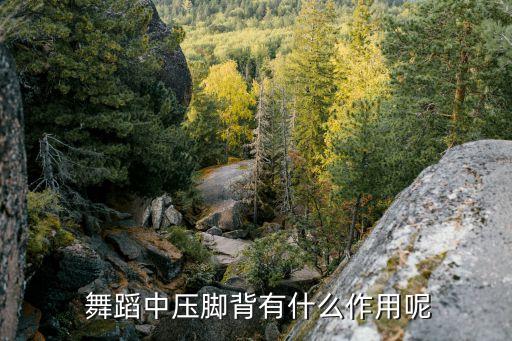 脚在舞蹈中的重要性,跳舞时要挺直脚背!