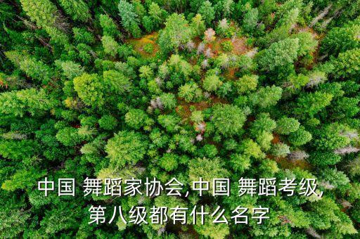 天上人间舞蹈视频独舞,第二集:第一集:广胜秀才的励志故事