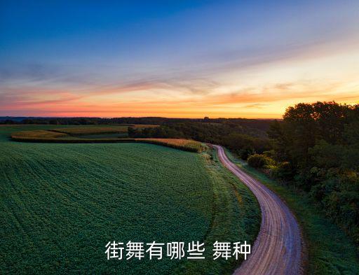 街舞有哪些 舞种