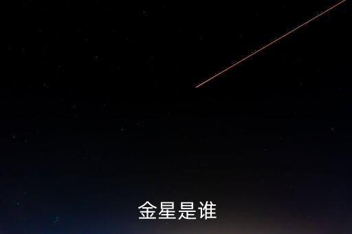 上海金星舞蹈,《半梦》获美国人舞蹈艺术节最佳编舞奖
