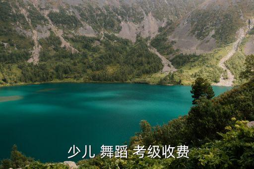  少儿 舞蹈 考级收费