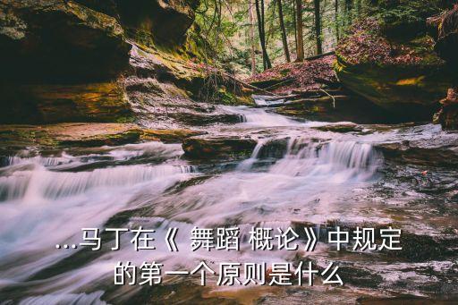 ...马丁在《 舞蹈 概论》中规定的第一个原则是什么
