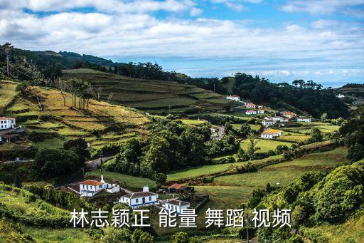 公司正能量舞蹈视频下载,如何下载糖豆广场舞?