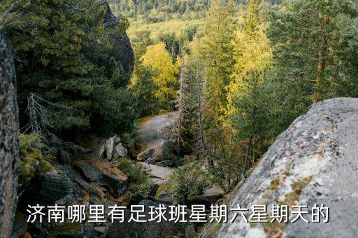 陈军 舞蹈,山东鲁能泰山足球学校两块牌子、一支队伍管理模式
