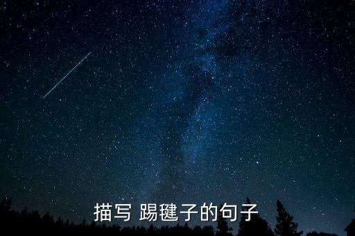 描写 踢毽子的句子