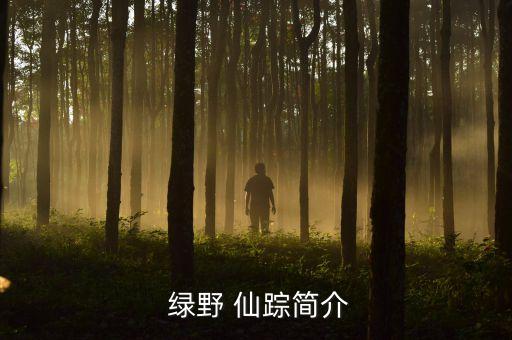 绿野仙踪小舞蹈视频,绿野仙踪百度网盘高清资源免费在线观看