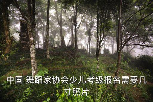 舞蹈生证件照,中国舞蹈家协少儿分级考试需要知道的事项