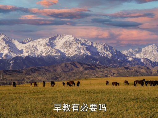  早教有必要吗