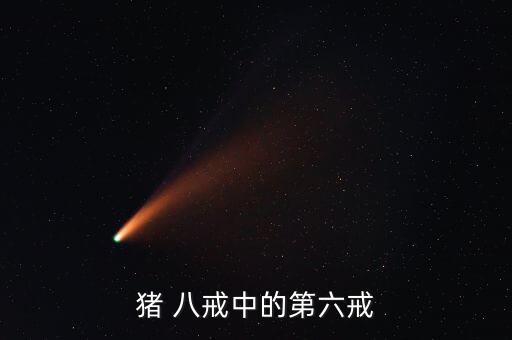 猪 八戒中的第六戒