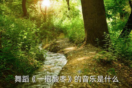  舞蹈《一把酸枣》的音乐是什么