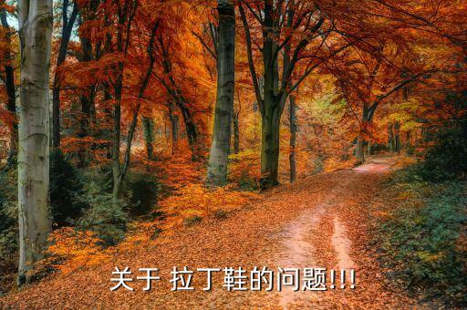 关于 拉丁鞋的问题!!!
