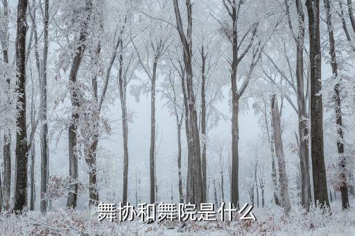 舞协和舞院是什么
