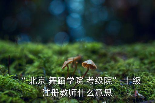 “ 北京 舞蹈学院 考级院” 十级注册教师什么意思