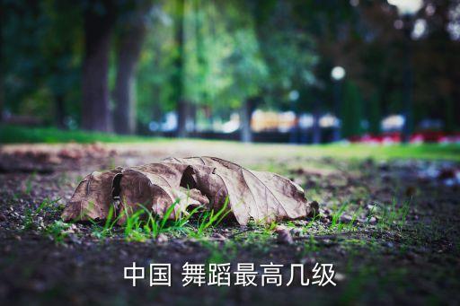 北京舞蹈第五级,中国舞蹈等级考试从何而来?