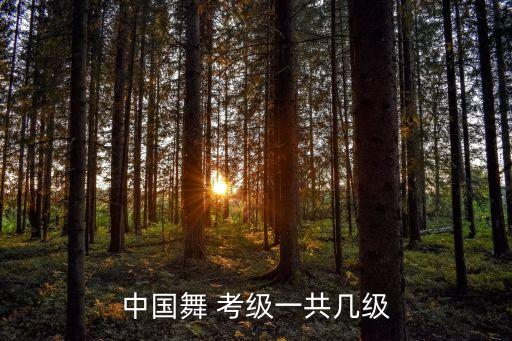 中国舞蹈第三考级,学习中国古典舞和民间舞提高舞蹈水平