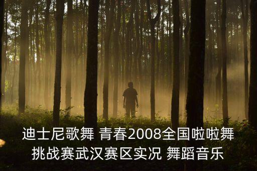 舞蹈青春啦啦舞,舞蹈啦啦队以爵士舞和现代舞为主主要队伍