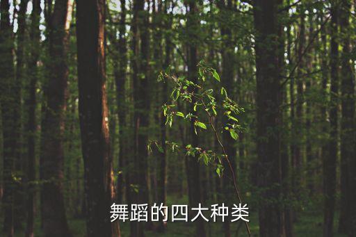  舞蹈的四大种类