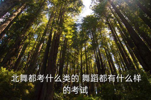  北舞都考什么类的 舞蹈都有什么样的考试