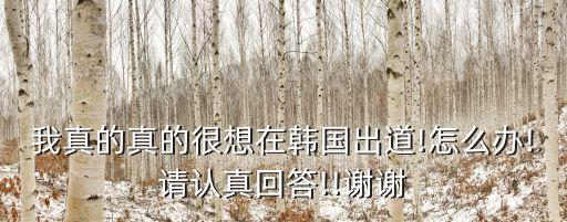 我真的真的很想在韩国出道!怎么办!请认真回答!!谢谢