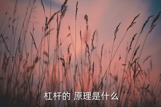  杠杆的 原理是什么