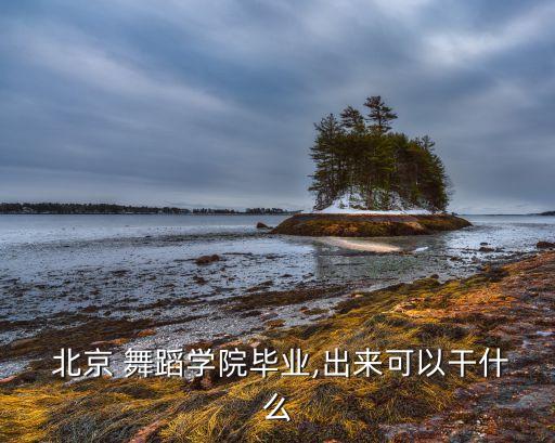  北京 舞蹈学院毕业,出来可以干什么
