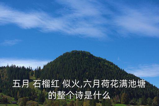 舞蹈石榴似火少儿,山茶花正月盛开适合儿童生长发育