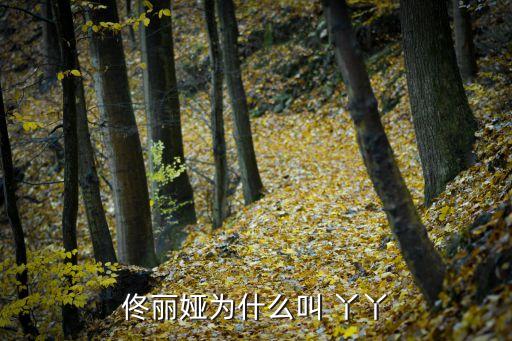 丫丫舞蹈,佟丽娅的舞蹈生涯