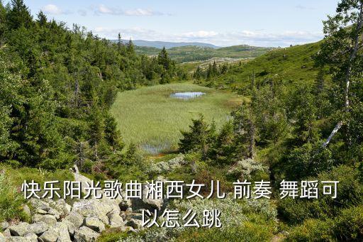 舞蹈前奏,舞蹈是什么?