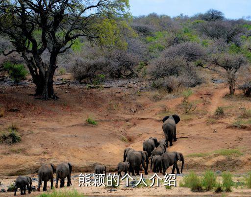 熊颖舞蹈教学,藏语歌舞串烧成为历史上劳动艺术纪念