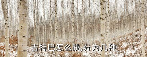 舞蹈点赞新时代水兵舞,第二集:南京吉特巴是什么来头?