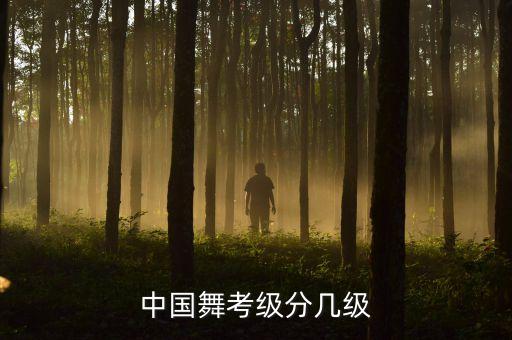舞蹈2级考试内容,i.中国舞蹈等级与年龄分别为超级简单和