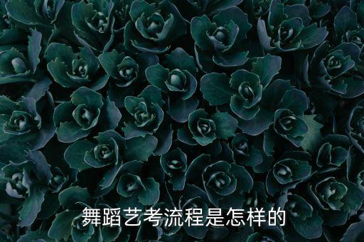 2017年舞蹈考试时间,舞蹈美术考生如何考试?