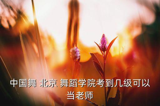 中国舞 北京 舞蹈学院考到几级可以当老师