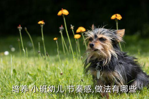 培养 小班幼儿 节奏感,做法有哪些