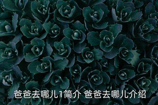  爸爸去哪儿1简介 爸爸去哪儿介绍
