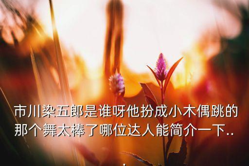  市川染五郎是谁呀他扮成小木偶跳的那个舞太棒了哪位达人能简介一下...