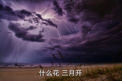 什么花 三月开