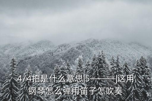 4/4拍是什么意思|5———|这用钢琴怎么弹用笛子怎吹奏