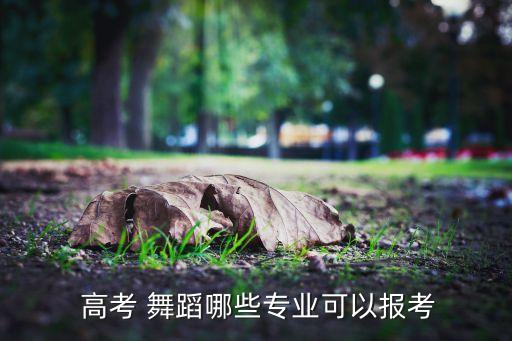  高考 舞蹈哪些专业可以报考