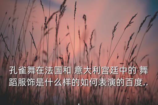 意大利特色舞蹈,意大利国家博物馆举办孔雀舞表演赛