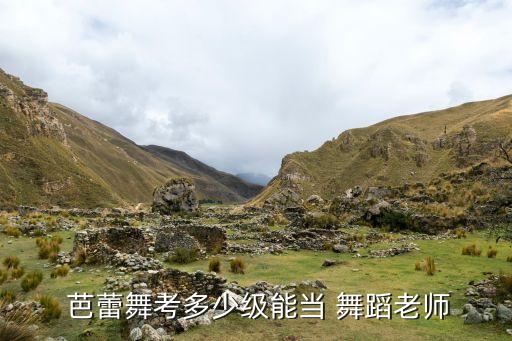  芭蕾舞考多少级能当 舞蹈老师