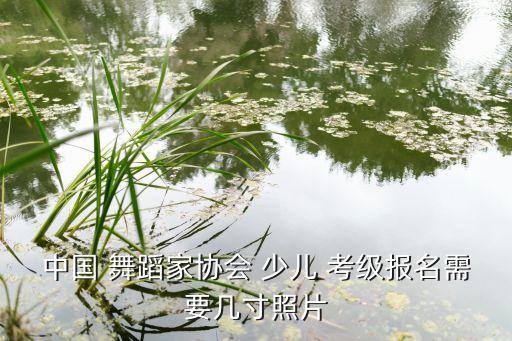 少儿舞蹈考级班招生,中国舞蹈家协-1考级报名名单公布