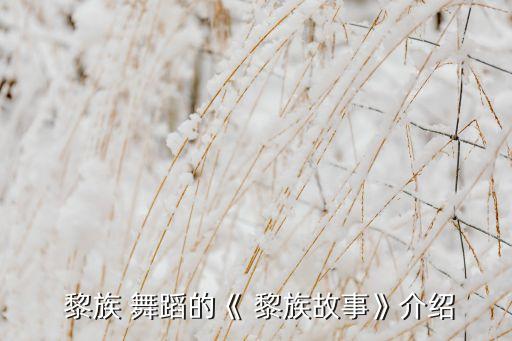  黎族 舞蹈的《 黎族故事》介绍