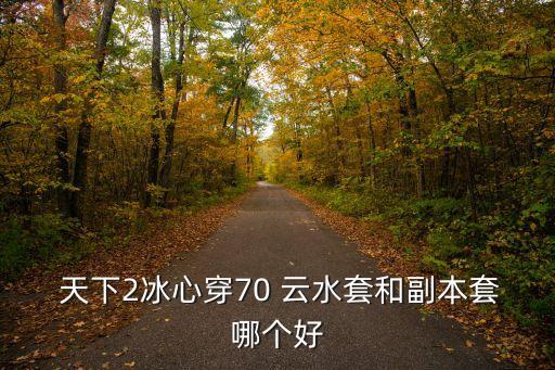  天下2冰心穿70 云水套和副本套哪个好