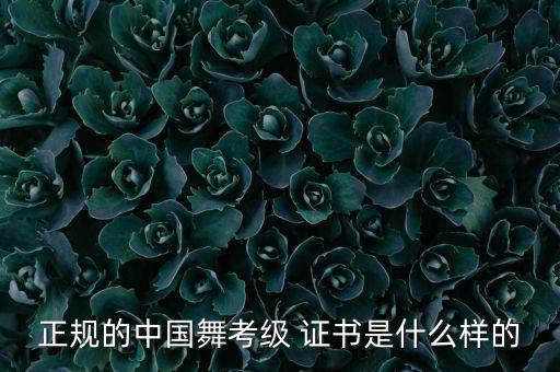 正规的中国舞考级 证书是什么样的