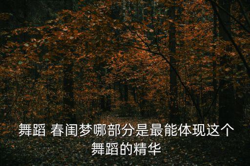  舞蹈 春闺梦哪部分是最能体现这个 舞蹈的精华