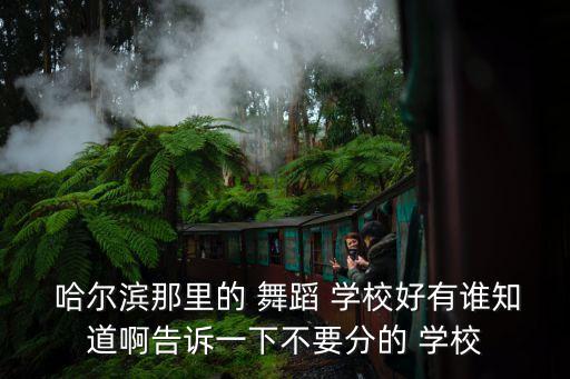  哈尔滨那里的 舞蹈 学校好有谁知道啊告诉一下不要分的 学校
