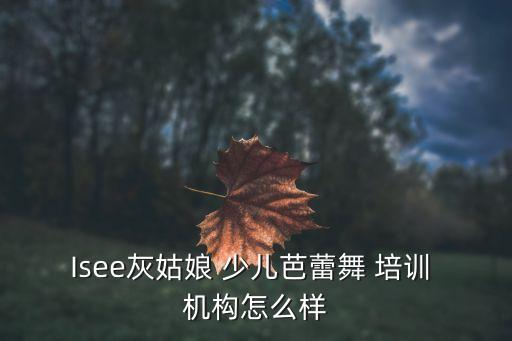 少儿舞蹈培训机构特色,如何鉴别幼儿街舞培训机构a-4//