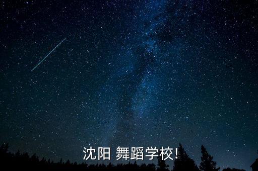  沈阳 舞蹈学校!